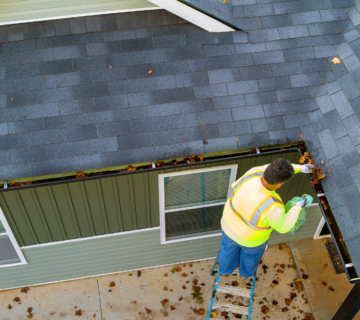 gutter cleaning