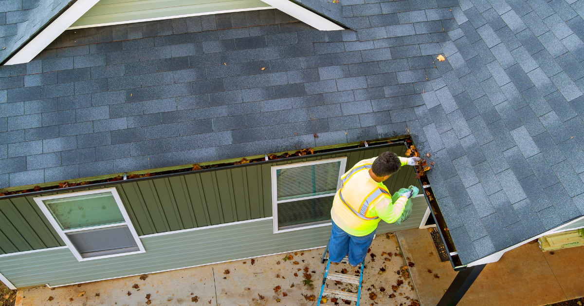 gutter cleaning