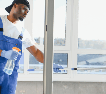professional window cleaning