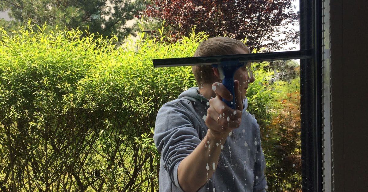 Professional window cleaning for fall