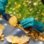 Fall cleaning services in Rochester NY