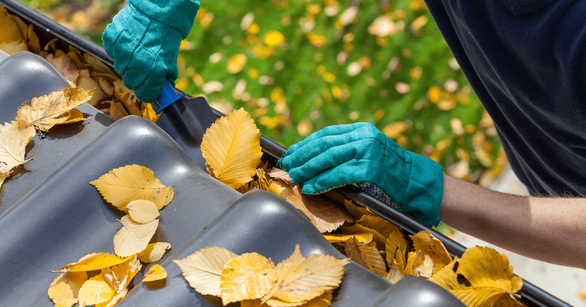 Fall cleaning services in Rochester NY